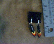 feathersblacksunset.jpg