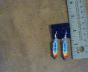 feathersdkturqiuosesunset.jpg