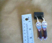 smallhoopmultipurplesilverbutterflies001001.jpg